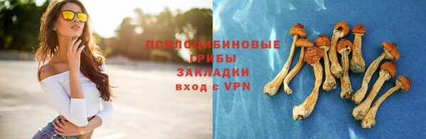соль ск Лагань