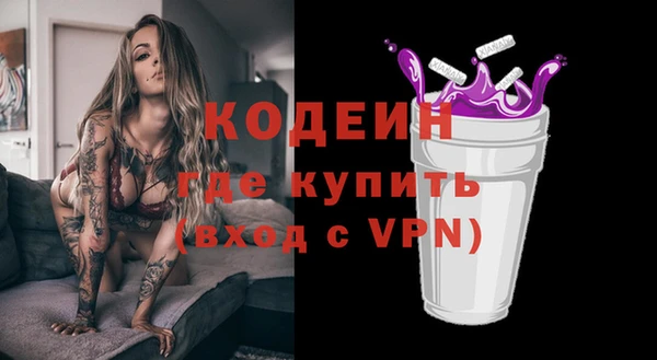 гашик Ладушкин