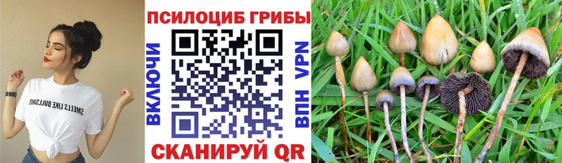 Купить где  Евпатория  Псилоцибиновые грибы мухоморы 