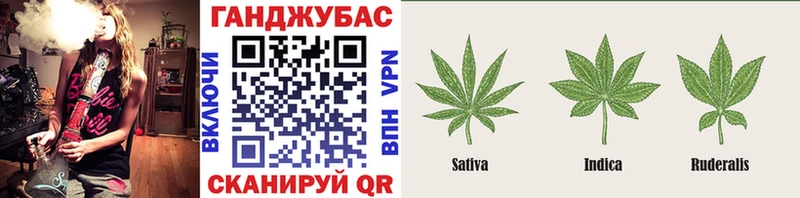 Шишки марихуана планчик  Купить закладки  Евпатория 